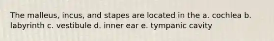 The malleus, incus, and stapes are located in the a. cochlea b. labyrinth c. vestibule d. inner ear e. tympanic cavity