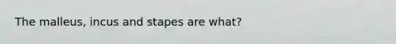 The malleus, incus and stapes are what?