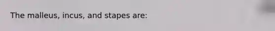 The malleus, incus, and stapes are: