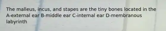 The malleus, incus, and stapes are the tiny bones located in the A-external ear B-middle ear C-internal ear D-membranous labyrinth