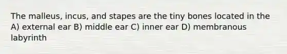 The malleus, incus, and stapes are the tiny bones located in the A) external ear B) middle ear C) inner ear D) membranous labyrinth