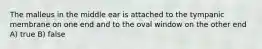 The malleus in the middle ear is attached to the tympanic membrane on one end and to the oval window on the other end A) true B) false