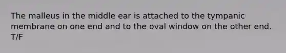 The malleus in the middle ear is attached to the tympanic membrane on one end and to the oval window on the other end. T/F