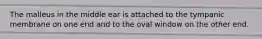 The malleus in the middle ear is attached to the tympanic membrane on one end and to the oval window on the other end.
