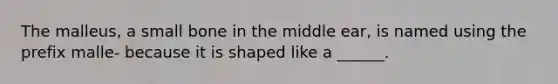 The malleus, a small bone in the middle ear, is named using the prefix malle- because it is shaped like a ______.