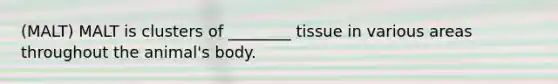 (MALT) MALT is clusters of ________ tissue in various areas throughout the animal's body.