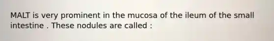 MALT is very prominent in the mucosa of the ileum of the small intestine . These nodules are called :