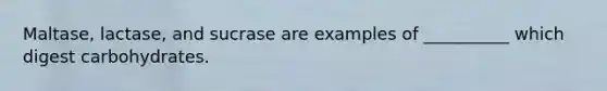 Maltase, lactase, and sucrase are examples of __________ which digest carbohydrates.