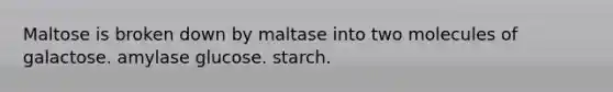 Maltose is broken down by maltase into two molecules of galactose. amylase glucose. starch.