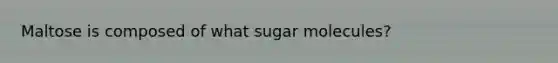 Maltose is composed of what sugar molecules?