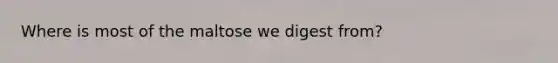 Where is most of the maltose we digest from?