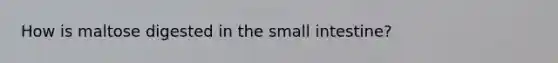 How is maltose digested in the small intestine?