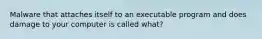 Malware that attaches itself to an executable program and does damage to your computer is called what?