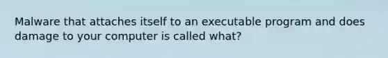 Malware that attaches itself to an executable program and does damage to your computer is called what?