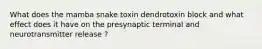 What does the mamba snake toxin dendrotoxin block and what effect does it have on the presynaptic terminal and neurotransmitter release ?