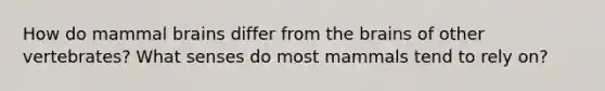 How do mammal brains differ from the brains of other vertebrates? What senses do most mammals tend to rely on?
