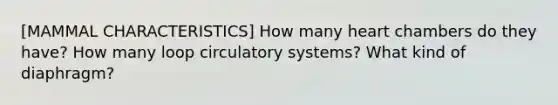 [MAMMAL CHARACTERISTICS] How many heart chambers do they have? How many loop circulatory systems? What kind of diaphragm?