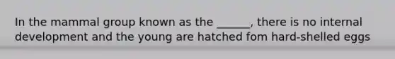 In the mammal group known as the ______, there is no internal development and the young are hatched fom hard-shelled eggs