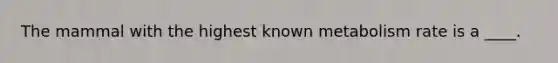 The mammal with the highest known metabolism rate is a ____.