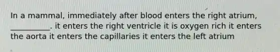 In a mammal, immediately after blood enters the right atrium, __________. it enters the right ventricle it is oxygen rich it enters the aorta it enters the capillaries it enters the left atrium