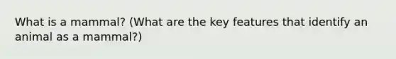 What is a mammal? (What are the key features that identify an animal as a mammal?)