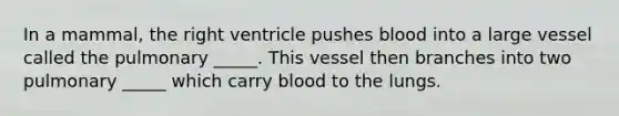 In a mammal, the right ventricle pushes blood into a large vessel called the pulmonary _____. This vessel then branches into two pulmonary _____ which carry blood to the lungs.