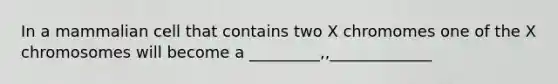 In a mammalian cell that contains two X chromomes one of the X chromosomes will become a _________,,_____________