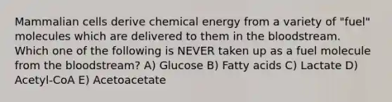 Mammalian cells derive chemical energy from a variety of "fuel" molecules which are delivered to them in the bloodstream. Which one of the following is NEVER taken up as a fuel molecule from the bloodstream? A) Glucose B) Fatty acids C) Lactate D) Acetyl-CoA E) Acetoacetate