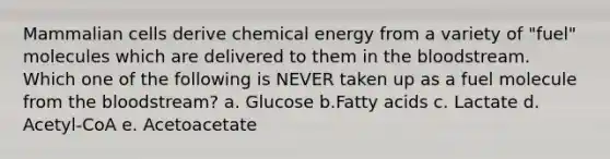 Mammalian cells derive chemical energy from a variety of "fuel" molecules which are delivered to them in the bloodstream. Which one of the following is NEVER taken up as a fuel molecule from the bloodstream? a. Glucose b.Fatty acids c. Lactate d. Acetyl-CoA e. Acetoacetate