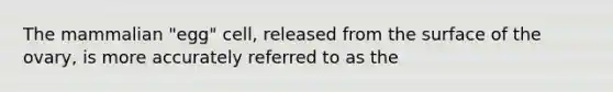 The mammalian "egg" cell, released from the surface of the ovary, is more accurately referred to as the