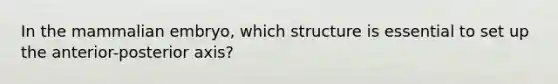 In the mammalian embryo, which structure is essential to set up the anterior-posterior axis?