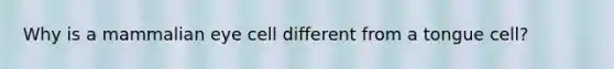 Why is a mammalian eye cell different from a tongue cell?