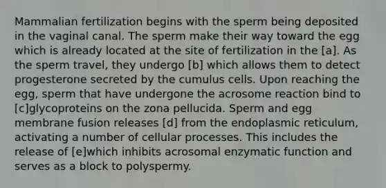 Mammalian fertilization begins with the sperm being deposited in the vaginal canal. The sperm make their way toward the egg which is already located at the site of fertilization in the [a]. As the sperm travel, they undergo [b] which allows them to detect progesterone secreted by the cumulus cells. Upon reaching the egg, sperm that have undergone the acrosome reaction bind to [c]glycoproteins on the zona pellucida. Sperm and egg membrane fusion releases [d] from the endoplasmic reticulum, activating a number of cellular processes. This includes the release of [e]which inhibits acrosomal enzymatic function and serves as a block to polyspermy.