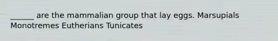 ______ are the mammalian group that lay eggs. Marsupials Monotremes Eutherians Tunicates