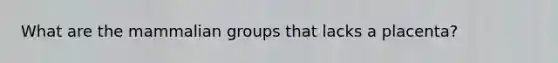 What are the mammalian groups that lacks a placenta?