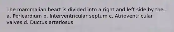 The mammalian heart is divided into a right and left side by the:- a. Pericardium b. Interventricular septum c. Atrioventricular valves d. Ductus arteriosus