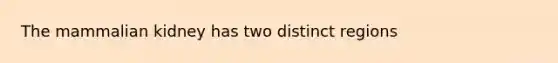 The mammalian kidney has two distinct regions