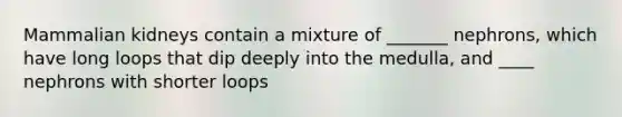 Mammalian kidneys contain a mixture of _______ nephrons, which have long loops that dip deeply into the medulla, and ____ nephrons with shorter loops