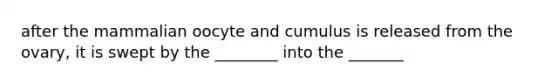 after the mammalian oocyte and cumulus is released from the ovary, it is swept by the ________ into the _______