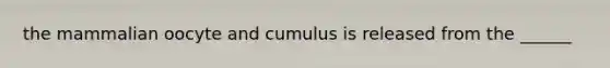 the mammalian oocyte and cumulus is released from the ______