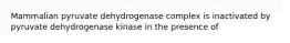 Mammalian pyruvate dehydrogenase complex is inactivated by pyruvate dehydrogenase kinase in the presence of