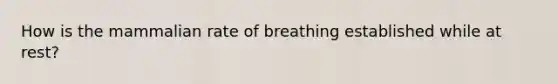 How is the mammalian rate of breathing established while at rest?