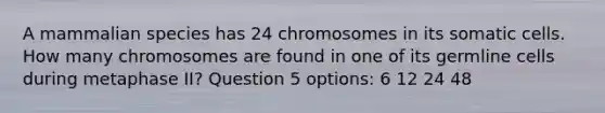 A mammalian species has 24 chromosomes in its somatic cells. How many chromosomes are found in one of its germline cells during metaphase II? Question 5 options: 6 12 24 48