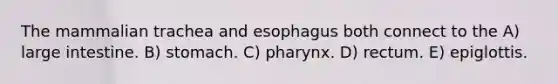 The mammalian trachea and esophagus both connect to the A) large intestine. B) stomach. C) pharynx. D) rectum. E) epiglottis.