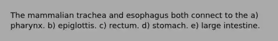 The mammalian trachea and esophagus both connect to the a) pharynx. b) epiglottis. c) rectum. d) stomach. e) large intestine.