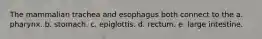 The mammalian trachea and esophagus both connect to the a. pharynx. b. stomach. c. epiglottis. d. rectum. e. large intestine.