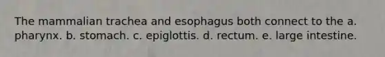 The mammalian trachea and esophagus both connect to the a. pharynx. b. stomach. c. epiglottis. d. rectum. e. large intestine.