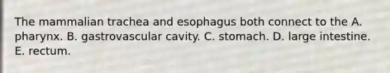 The mammalian trachea and esophagus both connect to the A. pharynx. B. gastrovascular cavity. C. stomach. D. large intestine. E. rectum.