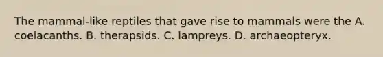 The mammal-like reptiles that gave rise to mammals were the A. coelacanths. B. therapsids. C. lampreys. D. archaeopteryx.