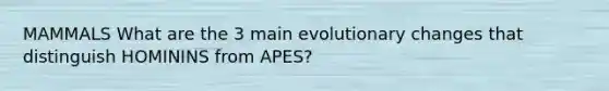 MAMMALS What are the 3 main evolutionary changes that distinguish HOMININS from APES?